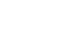 Spark Consultancy Service PLC Logo